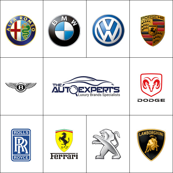 & Servicing All Other Luxury Cars Brands